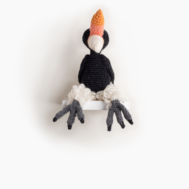 hornbill bird crochet amigurumi project pattern kerry lord Edward's menagerie